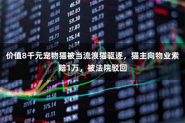价值8千元宠物猫被当流浪猫驱逐，猫主向物业索赔1万，被法院驳回