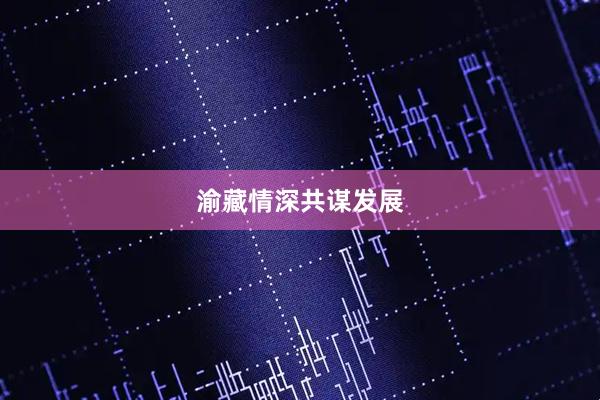 渝藏情深共谋发展