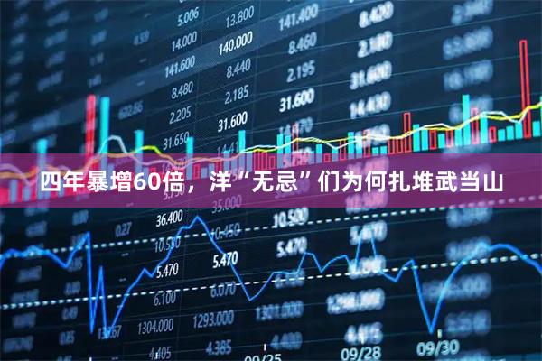 四年暴增60倍，洋“无忌”们为何扎堆武当山
